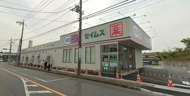 ドラッグセイムス見沼丸ヶ崎店