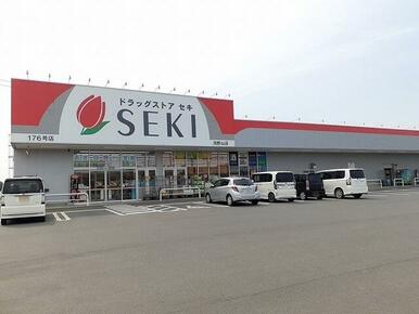 ドラッグストアセキ鴻野山店