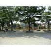 公園