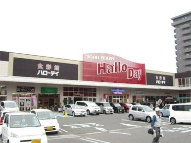 ﾊﾛｰﾃﾞｲ共立大前店