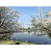 公園