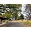 公園