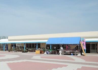 道の駅 風のマルシェ御前崎