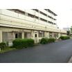 幼稚園、保育園