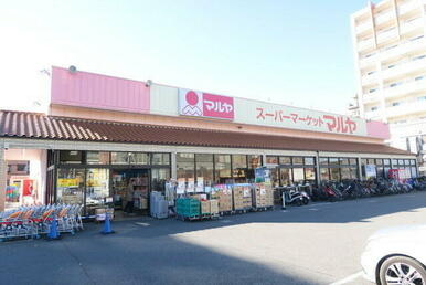 マルヤ南流山駅前店