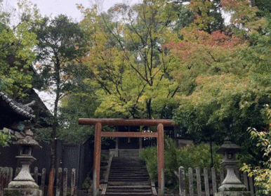 今宮神社