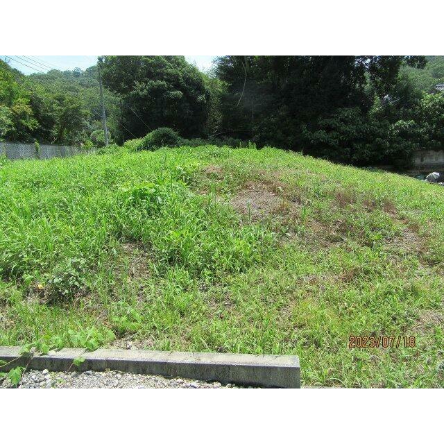 北西側より（2023年7月撮影）