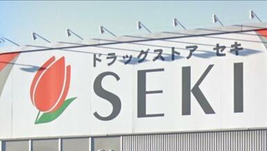 ドラッグストアセキ上小町店
