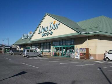 リオン・ドール高根沢東店