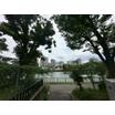 公園