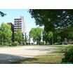 公園
