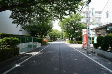 早稲田の街を南北に貫く早稲田のさくら並木は担当者のお気に入り徒歩ルート。夏は涼しく春は桜色のトンネル