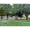 公園
