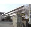 中学校