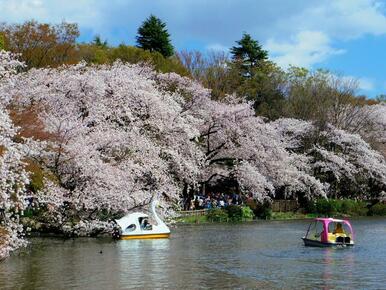 井の頭公園