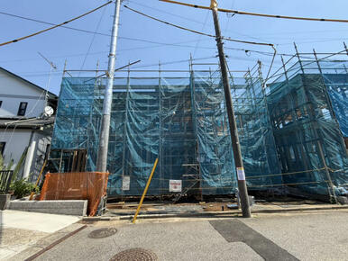 5月上旬撮影