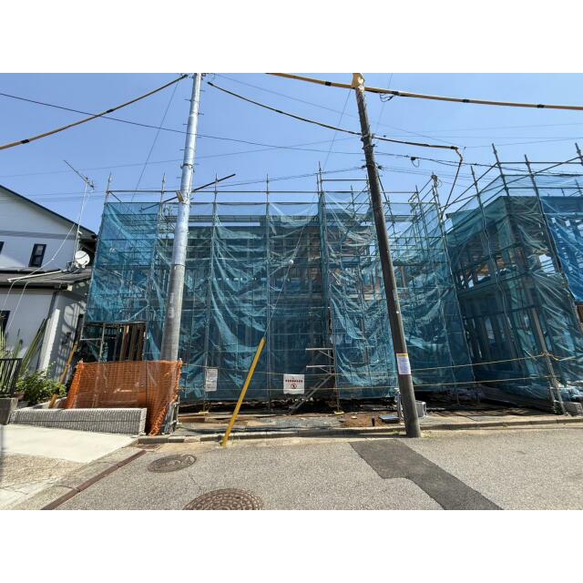 5月上旬撮影