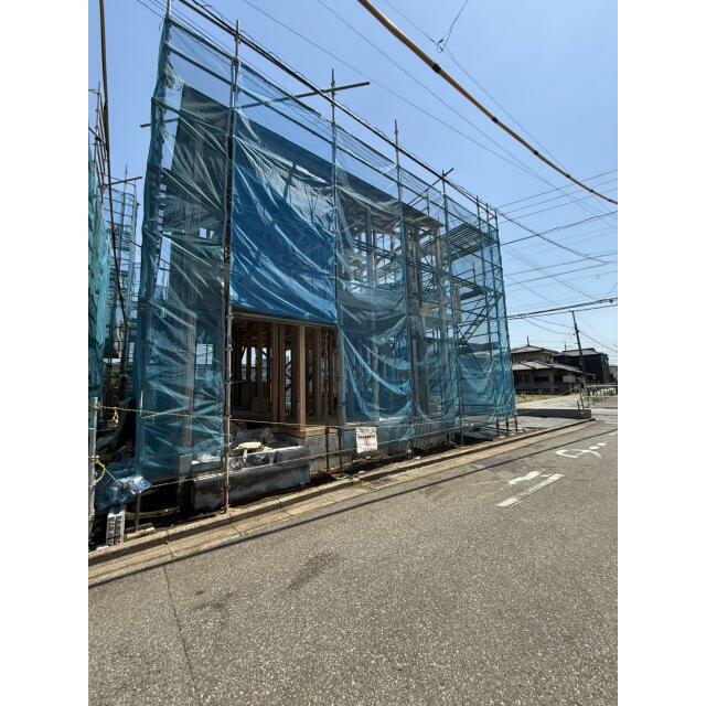 5月上旬撮影