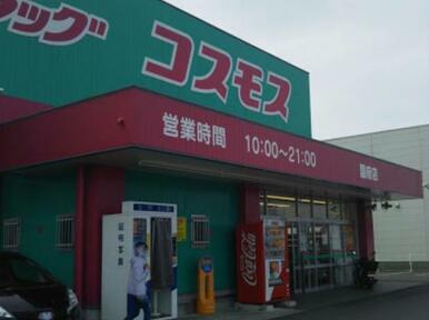 ディスカウントドラッグコスモス国府店