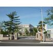 大学