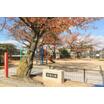 公園