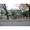 幼稚園、保育園