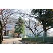 小学校