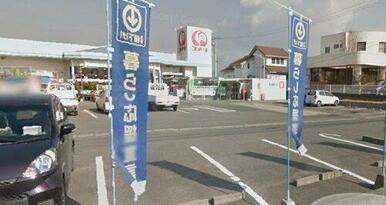 コメリハード&グリーン 岱明店
