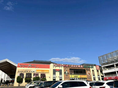 安城コロナワールド