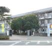 中学校