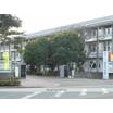 中学校