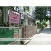 幼稚園、保育園