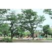 公園