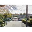 幼稚園、保育園
