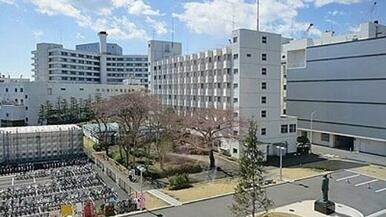 北里大学