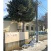 幼稚園、保育園