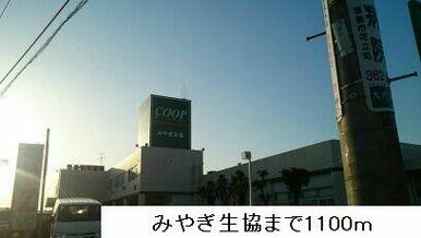 みやぎ生協多賀城大代店