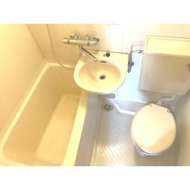 前回募集時写真