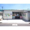 幼稚園、保育園