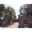 大学