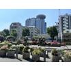 公園