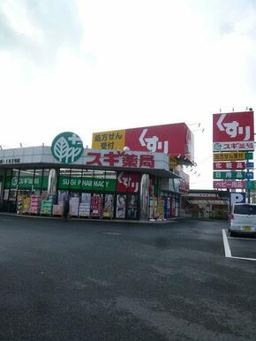スギ薬局　衣川店