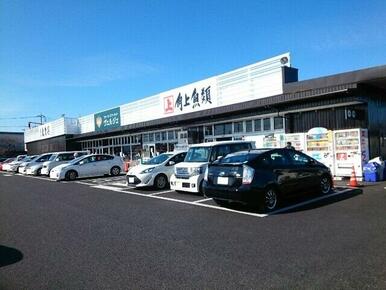 角上魚類高崎店