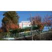 幼稚園、保育園