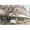 幼稚園、保育園