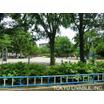 公園
