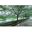 公園