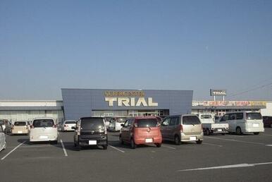 トライアル