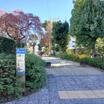 公園
