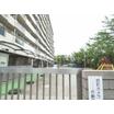 幼稚園、保育園